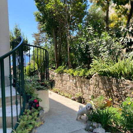 Apartments Milicevic Herceg Novi Exterior photo