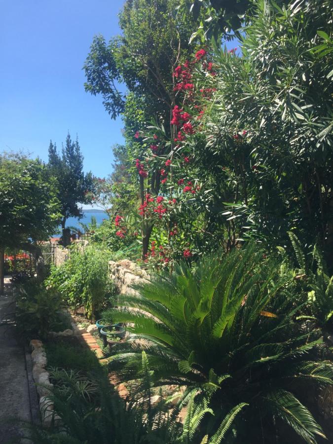 Apartments Milicevic Herceg Novi Exterior photo