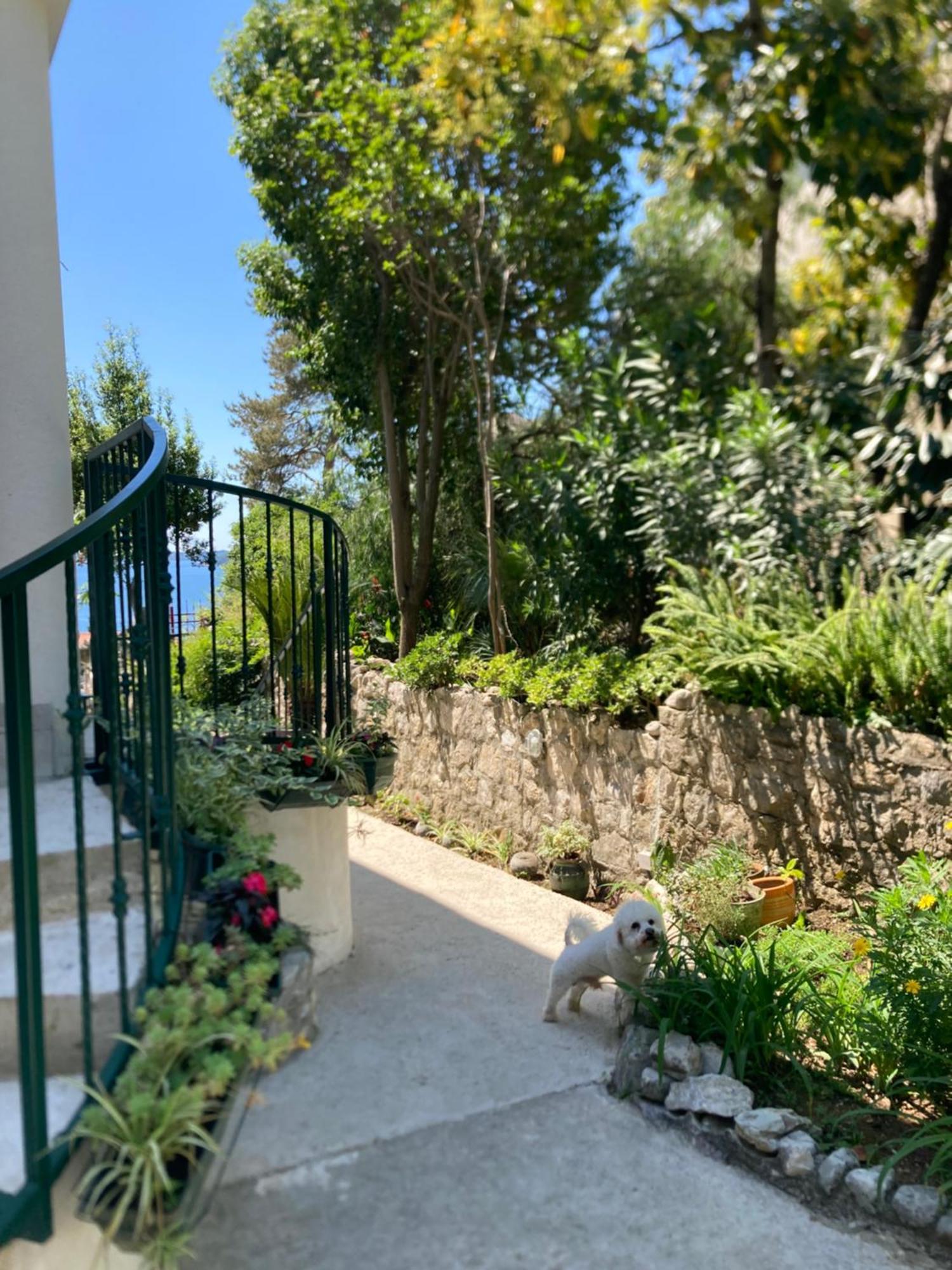 Apartments Milicevic Herceg Novi Exterior photo